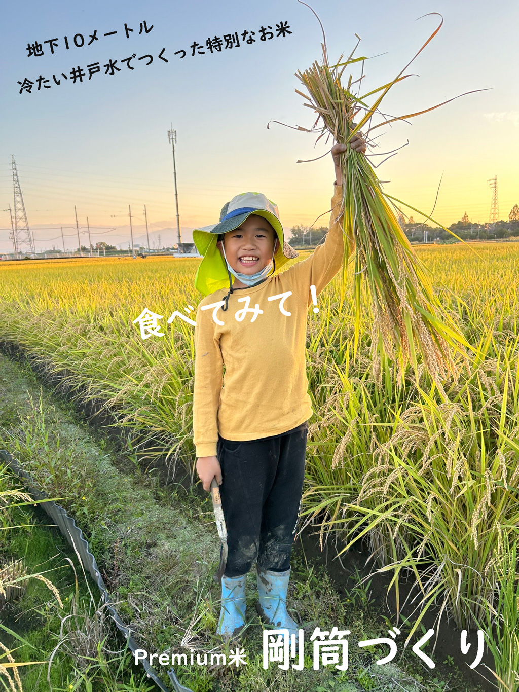 地下10メートル 冷たい井戸水で育てた特別な無農薬米