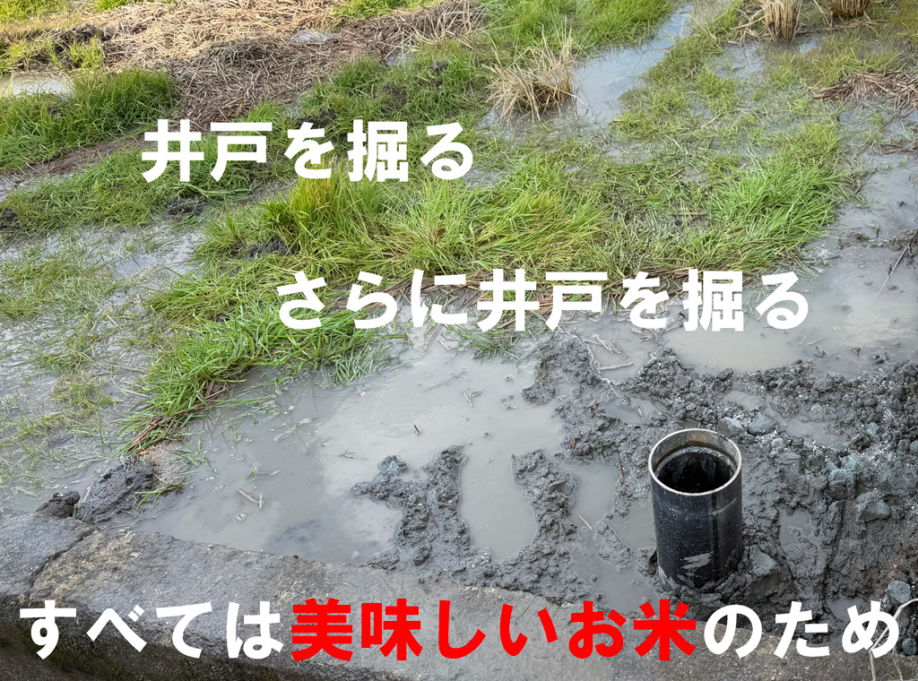 令和7年の稲作スタート  田んぼの整備と井戸づくり